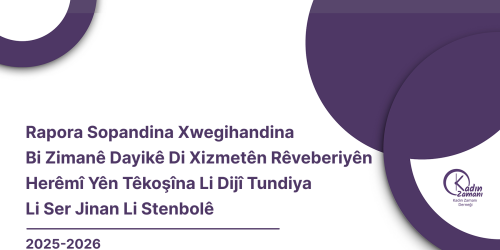Rapora Sopandina Xwegihandina Bi Zimanê Dayikê Di Xizmetên Rêveberiyên Herêmî Yên Têkoşîna Li Dijî Tundiya Li Ser Jinan Li Stenbolê