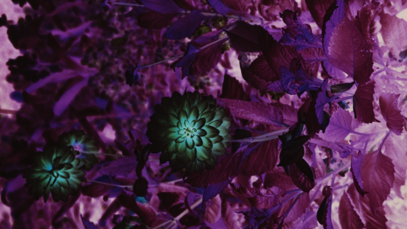 Sistematik şiddet: Kadın katliamları ve devletin rolü