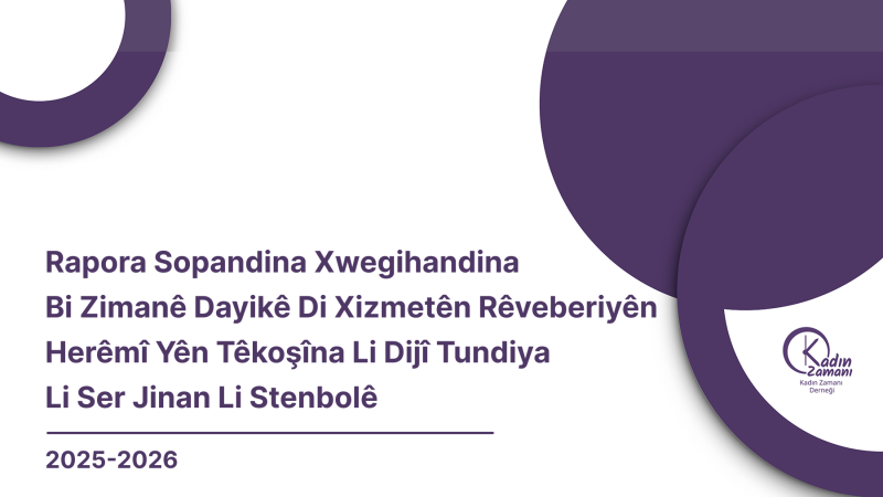 Rapora Sopandina Xwegihandina Bi Zimanê Dayikê Di Xizmetên Rêveberiyên Herêmî Yên Têkoşîna Li Dijî Tundiya Li Ser Jinan Li Stenbolê